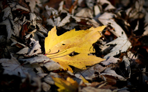 1713823 (a): :2560x1600